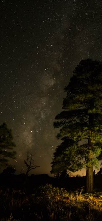 �ÿ��ı�ֽiphonex��ȫ