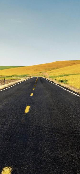 �ÿ��ı�ֽiphonex��ȫ