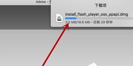 Mac OSϵͳPPAPI���δ��װ�Ľ������