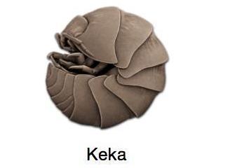 MacOS������Щһ�þ��޷��԰ε�������