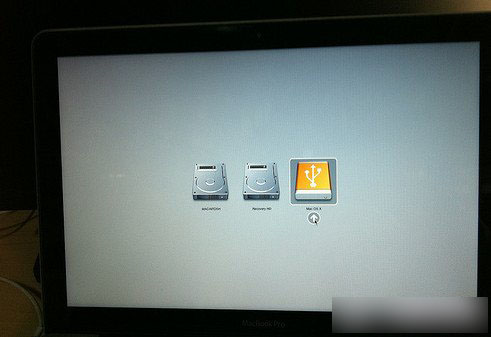 ƻ��u�����������̳�