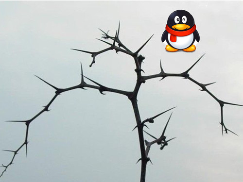 ZDC����Ѷ�Ƴ�MeeGo�ֻ� û��δ�������￴����