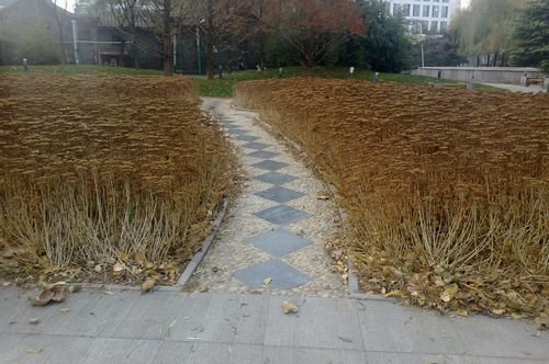 �������N9 meegoϵͳŵ����N9���鱨��