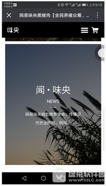 网易味央猪肉多少钱 网易味央黑猪肉价格介绍