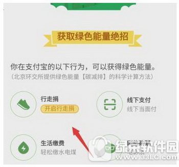 支付宝能量攻略 支付宝蚂蚁森林收集技巧汇总