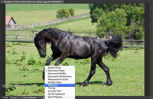 PhotoShop܃ 