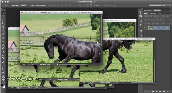 PhotoShop܃ 