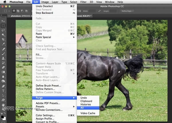 PhotoShop܃ 
