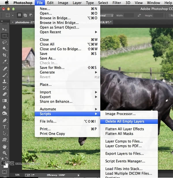 PhotoShop܃ 
