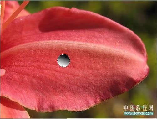 PhotoshopɻҶϵ¶_ű֮jb51.net