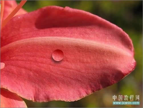 PhotoshopɻҶϵ¶_ű֮jb51.net