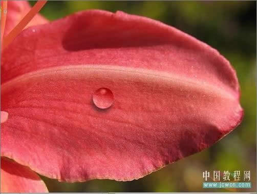 PhotoshopɻҶϵ¶_ű֮jb51.net