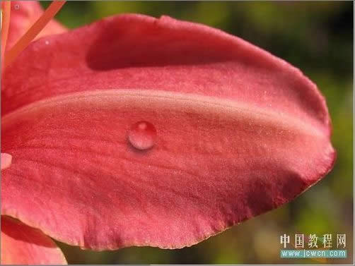 PhotoshopɻҶϵ¶_ű֮jb51.net