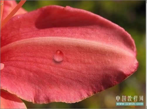 PhotoshopɻҶϵ¶_ű֮jb51.net