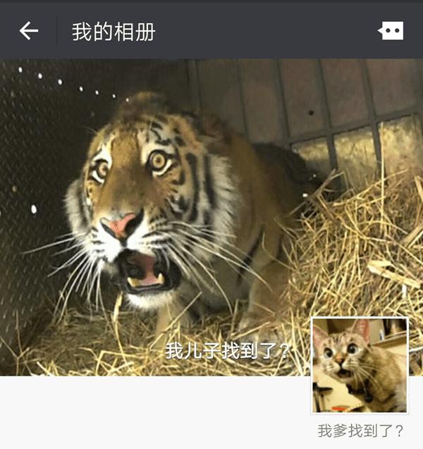 让你的微信朋友圈玩出领异标新的详细教程