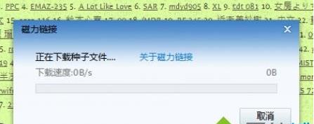 电脑打开torrentkitty的方法 电脑打开torrentkitty的方法