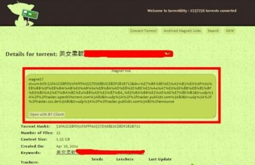 电脑打开torrentkitty的方法 电脑打开torrentkitty的方法