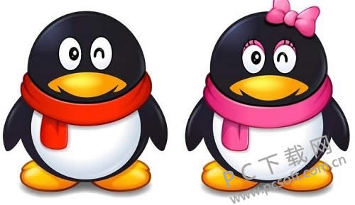 qqƤ����������