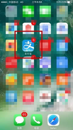 ֧���������ɶ�ط��