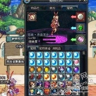 dnf������λ�ã�