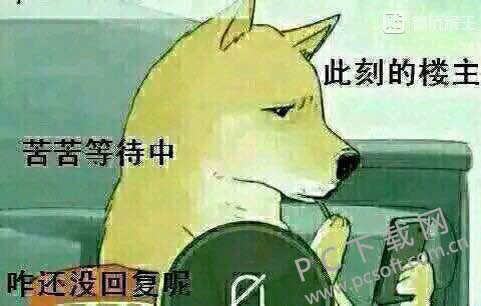 lz��ɶ��˼��