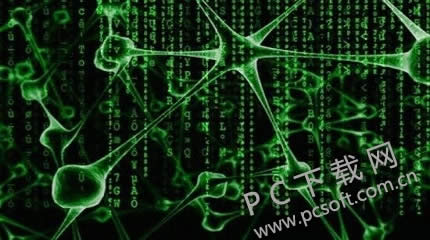 �����в�������ΰ죿