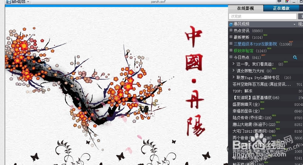 swf�ļ���ʲô�򿪣�