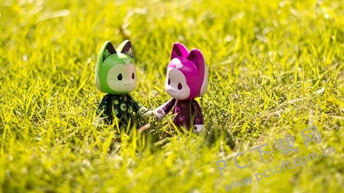 �������������ã�