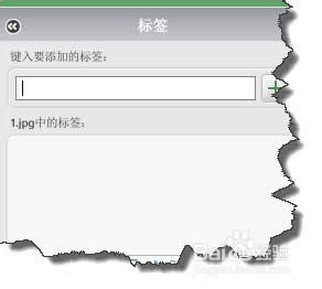 Google Picasa��ô����ص㣿
