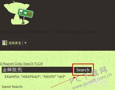 torrent kitty����ã�