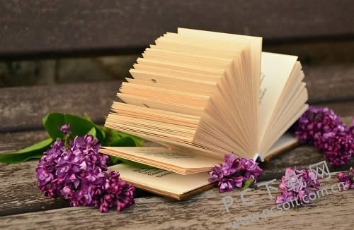 �����ֻ��ָ���ʦ��ô��װ��