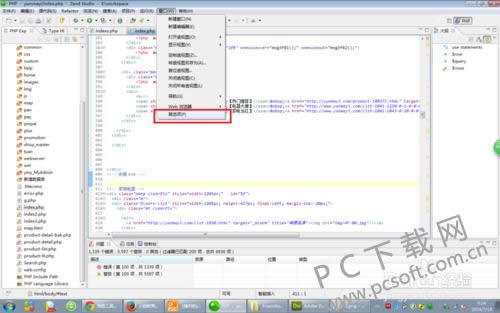 Zend Studio������ô�죿