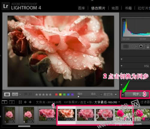 adobe photoshop lightroom��ô����������Ƭ��