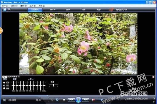 windows media player��β���mp4��