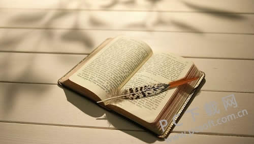 windows media player�������