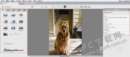 Google Picasa��ô�ã�