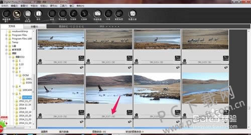 dpp��Digital Photo Professional���༭ͼƬ�̳�
