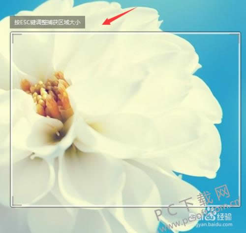 YY���»��л���ô�ã�