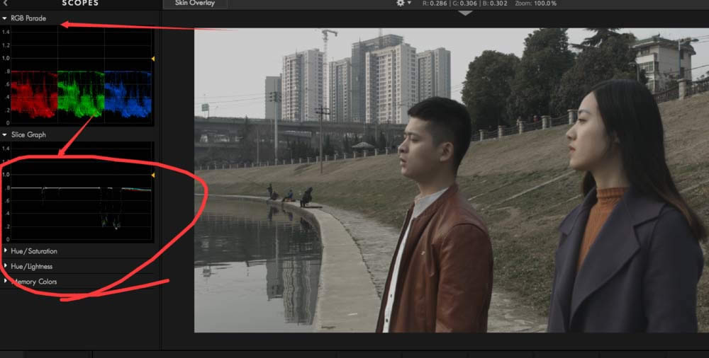 premiere���ʹ��looks���