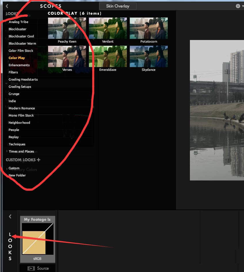 premiere���ʹ��looks���