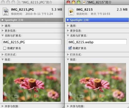 RMVB����MP3ҲҪ��̭��̸����������Զȥ�ļ���