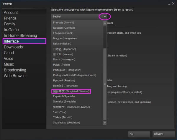 Steamƽ_͑˽@ʾӢ޸ĳ
