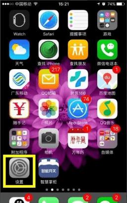 iOS 11.3.1 iOS 11.3.1̼صַ