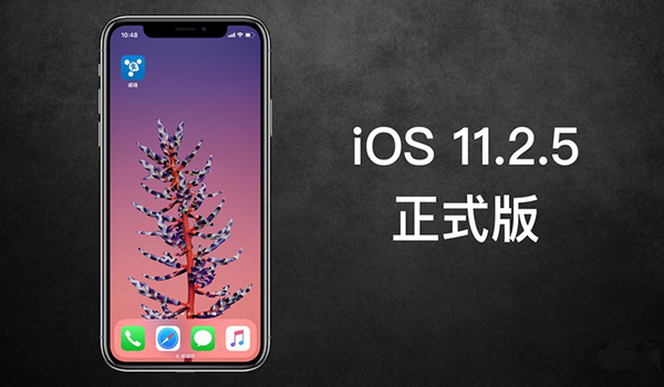 iOS 11.2.5ʲô iOS 11.2.5б