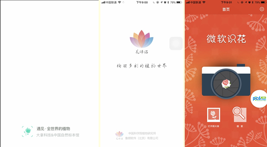 拍照查花软件叫什么 三款识花神器App评测 拍照查花软件叫什么 三款识花神器App评测