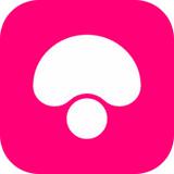 ios 9.3.3��ʽ�������ʲô ios 9.3.3��ʽ��������ݽ���