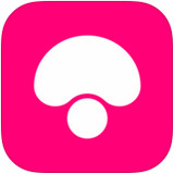 ����ͷ�Ż�ȯ����� ����ͷ�Ż�ȯ�����