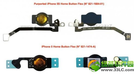 iPhone5S�㲿���ع⣺���Ἧ��ָ��ʶ����