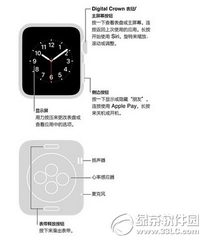 apple watch���ܽ��ܣ�ƻ�������ֱ�apple watch����