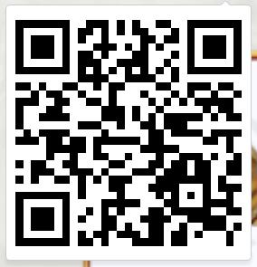 ҽMT4